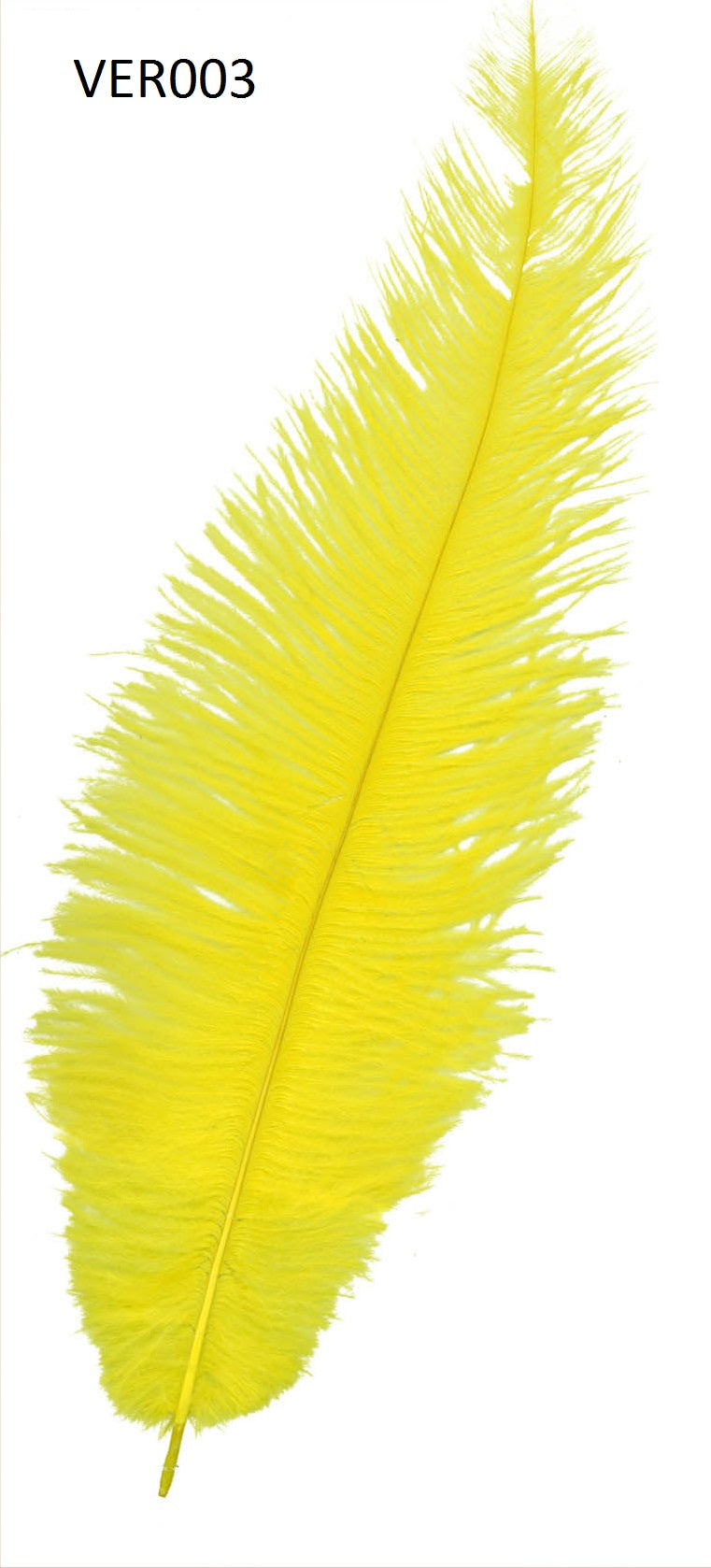 Struisvogel veer 40cm - 12 stuks