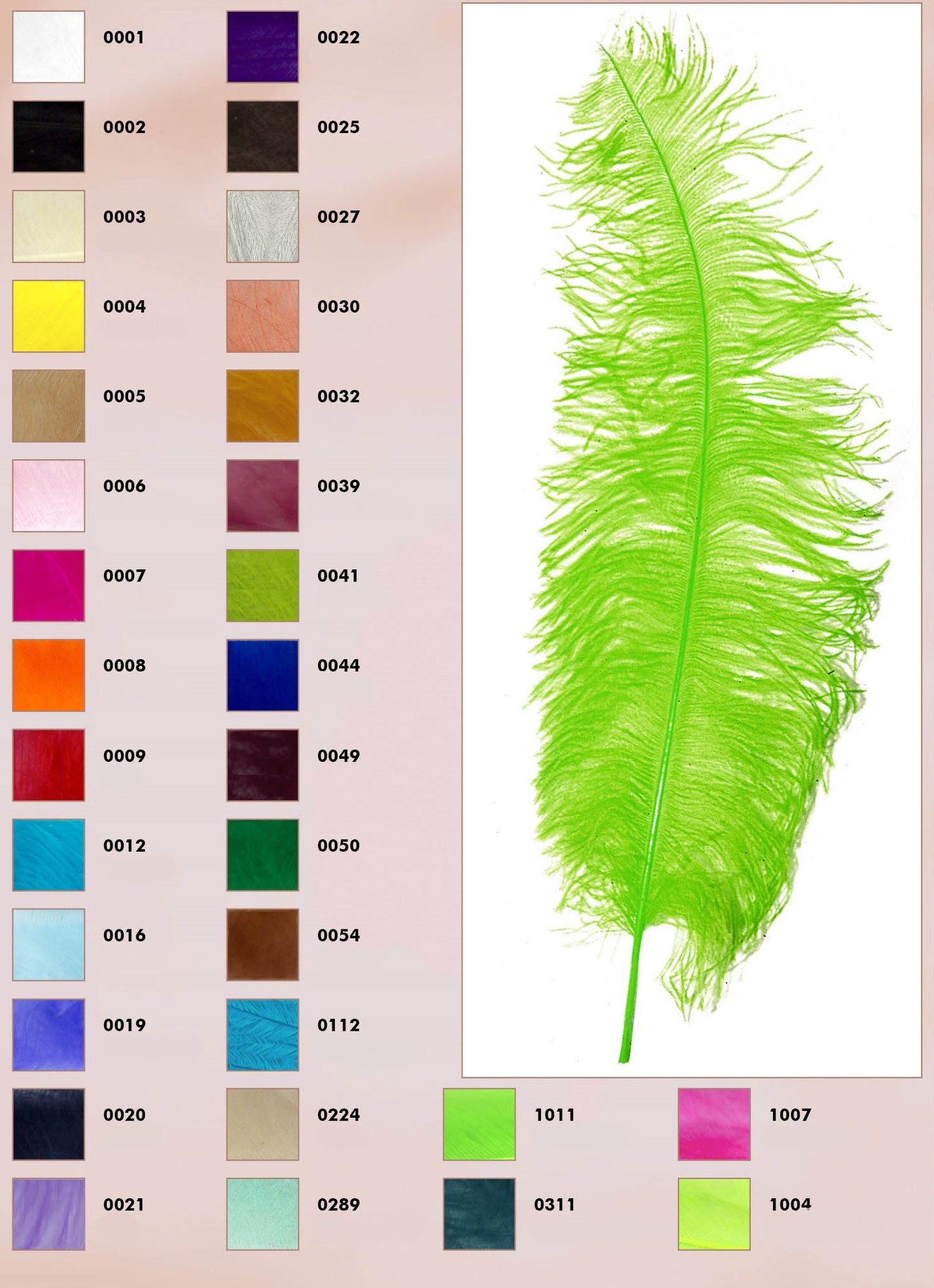 Struisvogel veer 60cm - 12 stuks