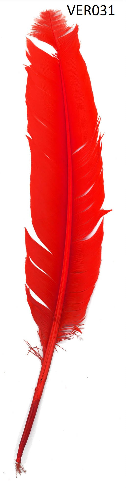 Kalkoen veren 35cm - 10 stuks
