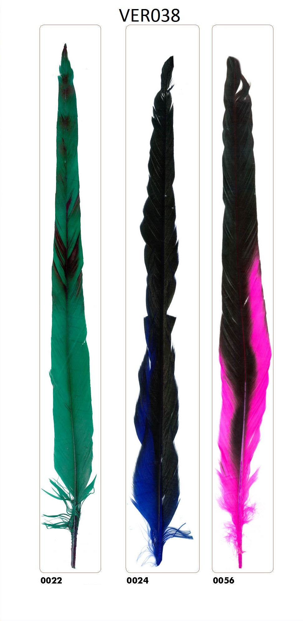 Hanen veren 40cm - 25 stuks