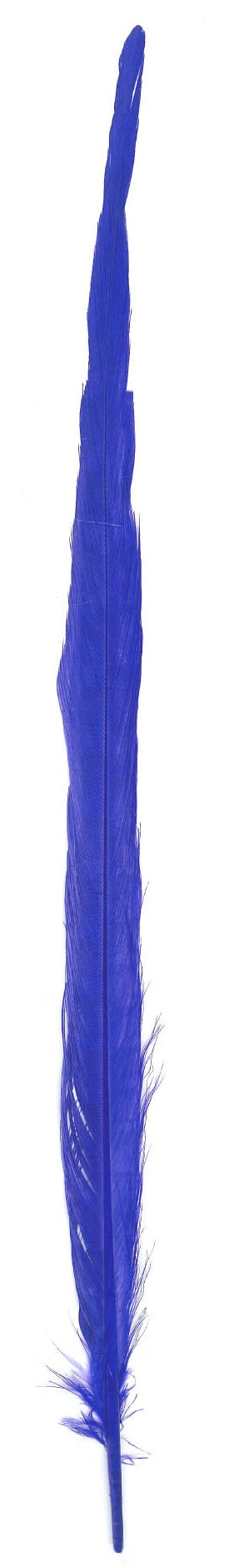 Kalkoen veren 43cm - 10 stuks
