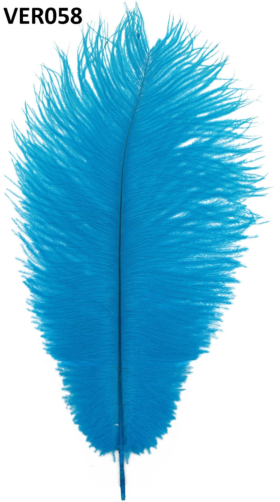 Struisvogel veer 35cm - 12 stuks