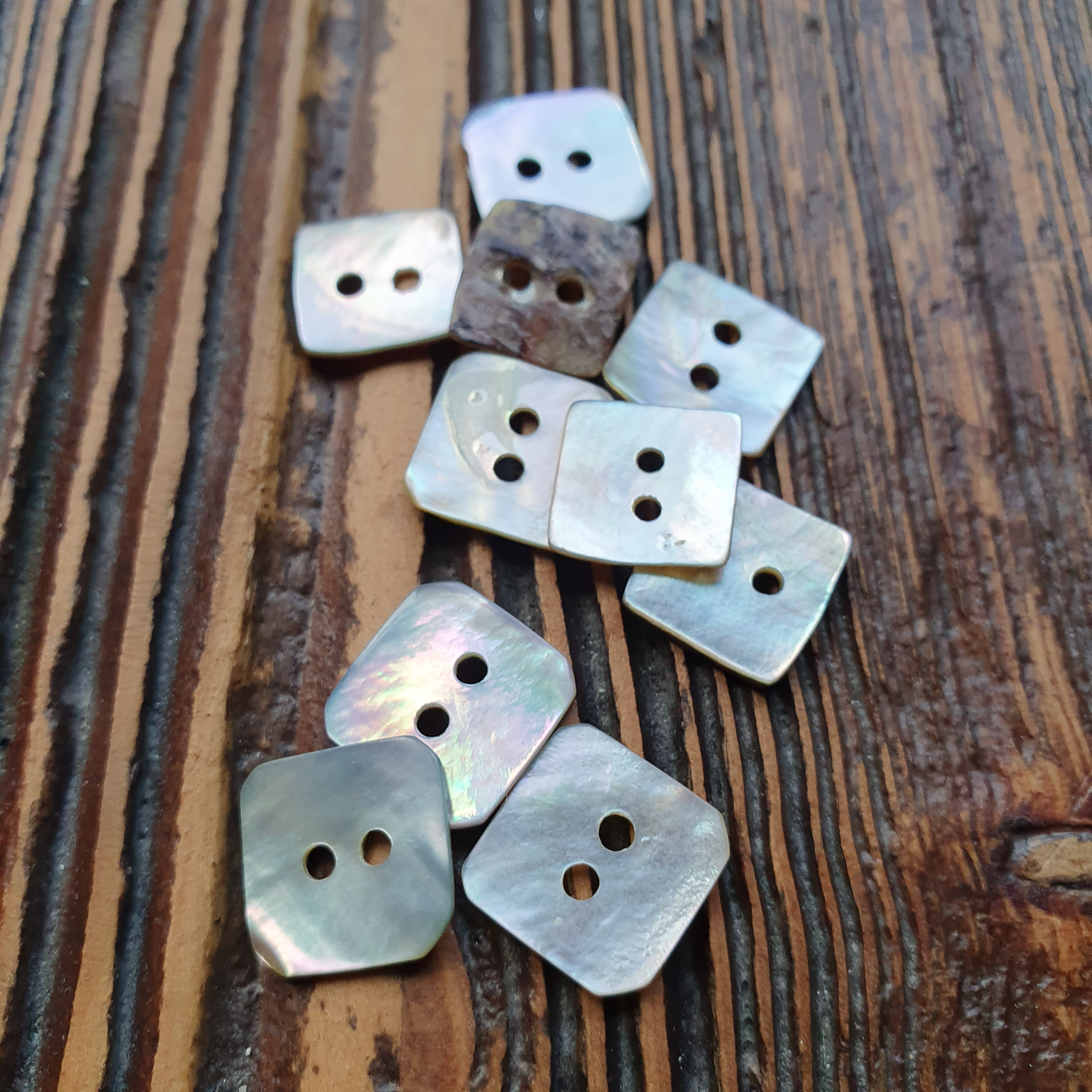 Schelpknoop 2-gaats vierkant 15mm