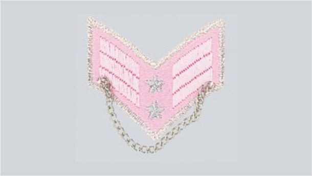 Strijkapplicatie roze