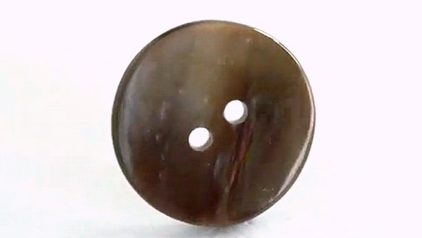 Schelpknoop 2 gaats verpakt per per 100 stuks kleur mossel bruin