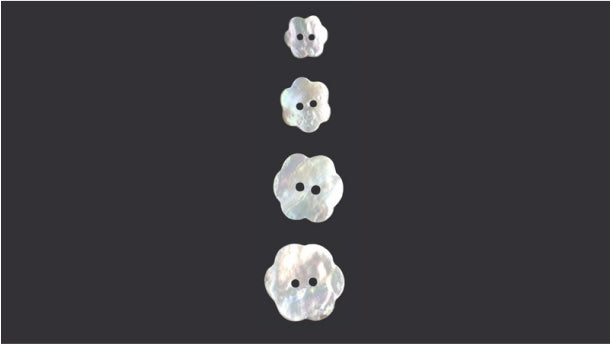 2 gaats schelpknoop - 48 stuks