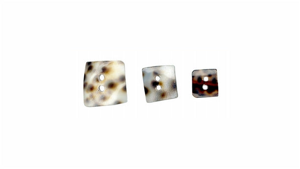 2 gaats schelpknoop - 15mm/20mm/26mm - 10 stuks