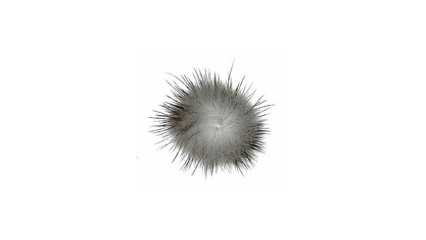 Pompon van nerts 25mm - 30 stuks