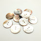 2-hole shell button - various sizes
