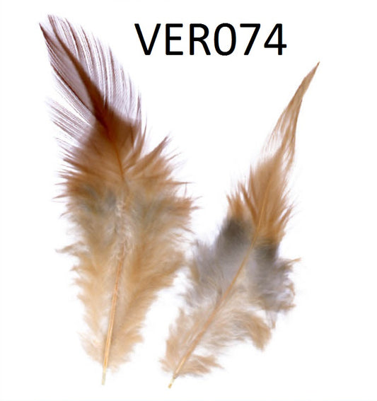 Fazant veren 8cm - 1700 stuks