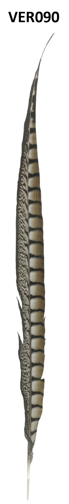 Fazant veer 60cm - 5 stuks