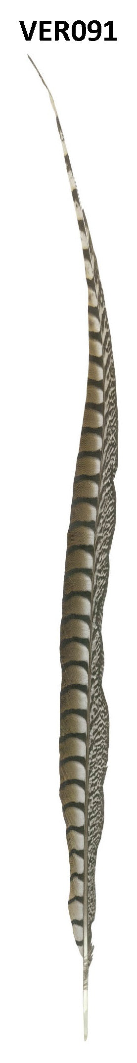 Fazant veer 90cm - 5 stuks