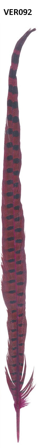 Fazant veer 60cm - 10 stuks