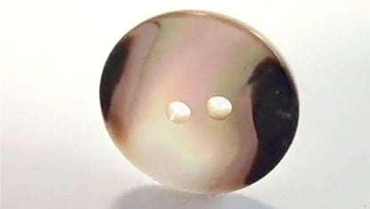2-hole shell button - various sizes